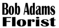 Bob Adams
