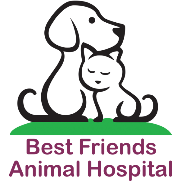 Best Friends Animal Hospital