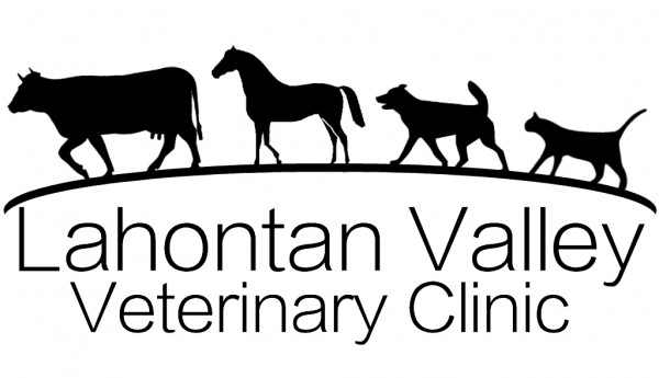 Lahontan Valley Veterinary Clinic