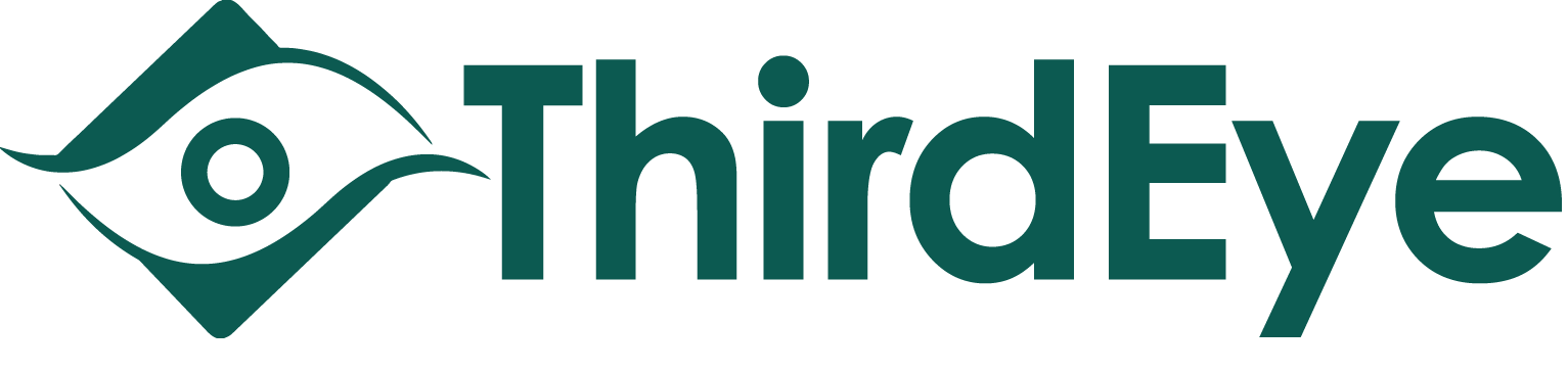 ThirdEye Consulting