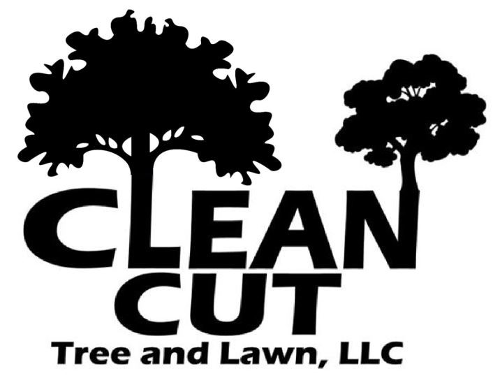 Clean Cut Tree and Lawn LLC