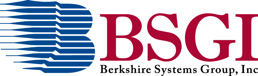 BSGI
