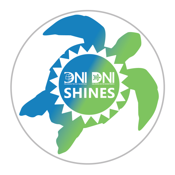 DNI